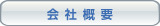 ЊTv