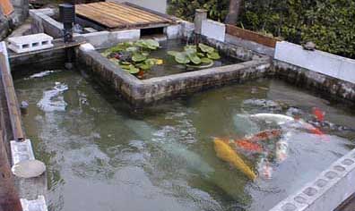 �V������r