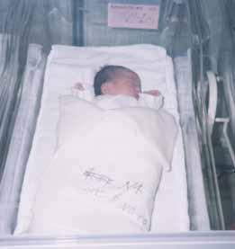 �񏗓ށX�A�o���̓�