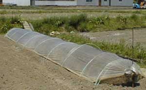 H.11.4.27 �X�C�J