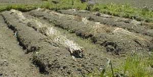 H.11.4.27 ����