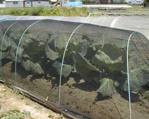 H.11.4.27 �L���x�c