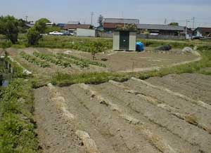 H.11.4.27 ���̍؉��S�i