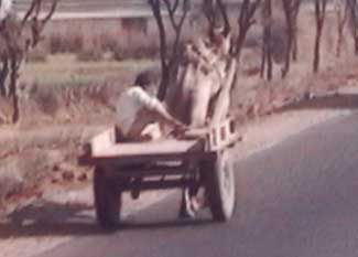 �׎Ԃ��������N�_