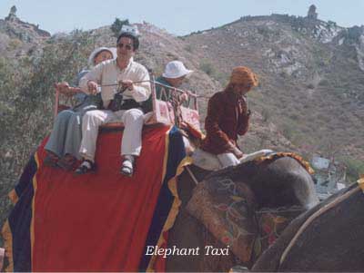 On an elephant taxi