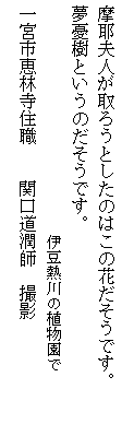 eLXg {bNX: vl낤Ƃ̂͂̉ԂłB
JƂ̂łB
@@@@@@@@@@@@@@@ɓM̐AŁ@@
{sbюZE@@֌t@Be
