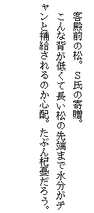 eLXg {bNX: @qaȌBr̊񑡁B
@ȔwႭĒ̐[܂Ő`ƕ⋋̂SzBԂXJ낤B
