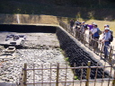 酒船石遺跡の亀形石