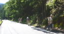 長洞峠の下り道