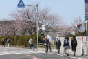 国府駅から西へ