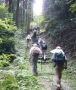 整備されているが険しい山道