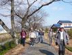 新郷瀬川の堤防を歩く