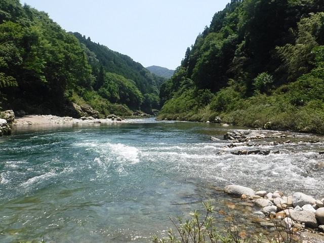静止画