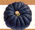ڂ