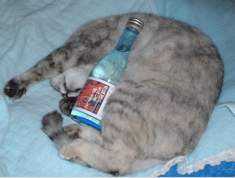 ��ꂽ�`