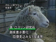 NHK�e���r���