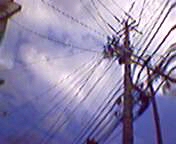 ���̑��c�ł͂Ȃ�