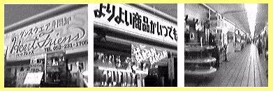 �J�V�I���X�g�J�����ł͂��̉掿�����������ς��B