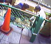 ���C�����ł���