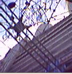 �w偂̑����邢�͒��s��