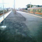 �i�q����w