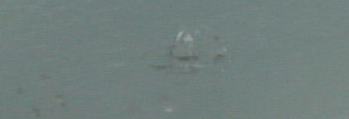 ウインドリペア(フロントガラスリペア)の効果