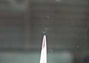 EChyAitgKXyAj̎ʐ^