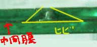 EChyAÔЂъ̎ʐ^