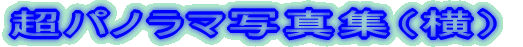 �p�m���}�ʐ^�W