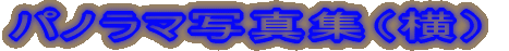 �p�m���}�ʐ^�W