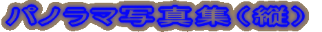 �p�m���}�ʐ^�W