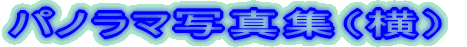 �p�m���}�ʐ^�W