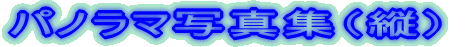 �p�m���}�ʐ^�W