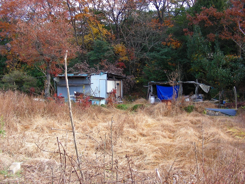 �ʐ^�N���b�N�Ŏ��̈ꖇ��