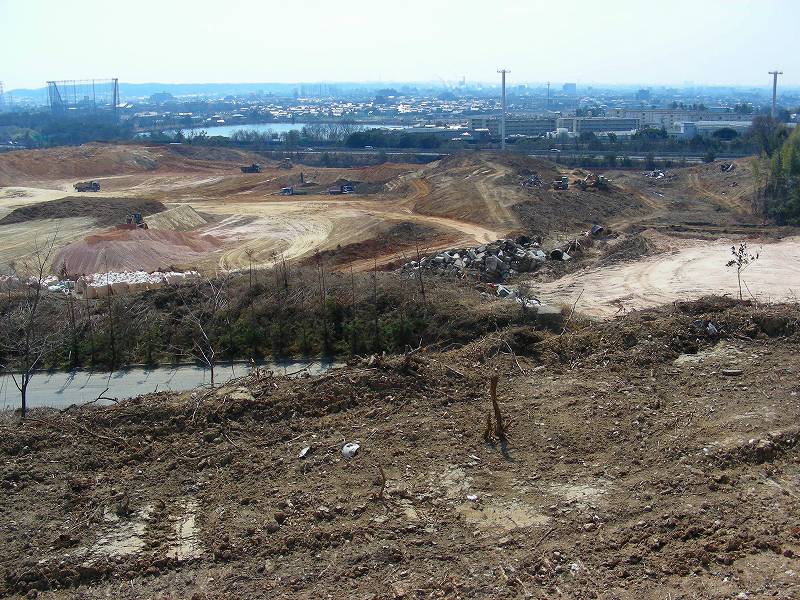 �ʐ^�N���b�N�Ŏ��̈ꖇ��