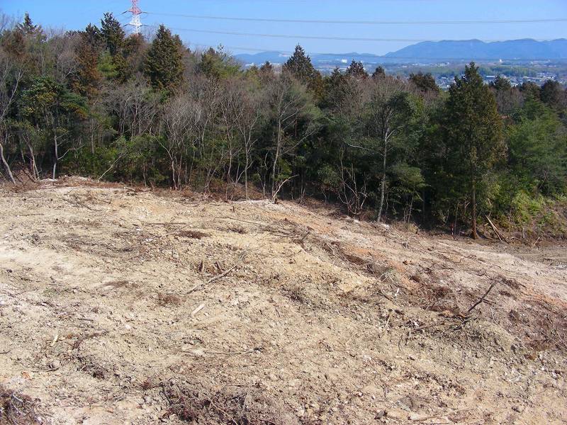 �ʐ^�N���b�N�Ŏ��̈ꖇ��