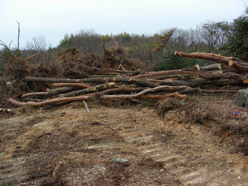 �ʐ^�N���b�N�Ŏ��̈ꖇ��