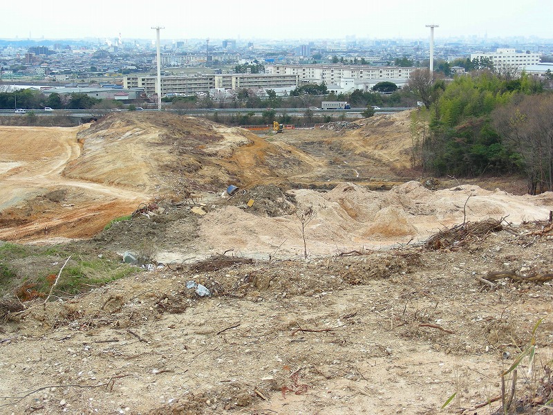 �ʐ^�N���b�N�Ŏ��̈ꖇ��