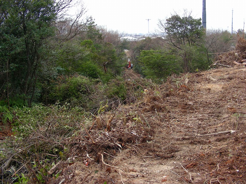 �ʐ^�N���b�N�Ŏ��̈ꖇ��