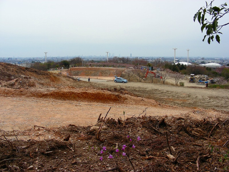 �ʐ^�N���b�N�Ŏ��̈ꖇ��