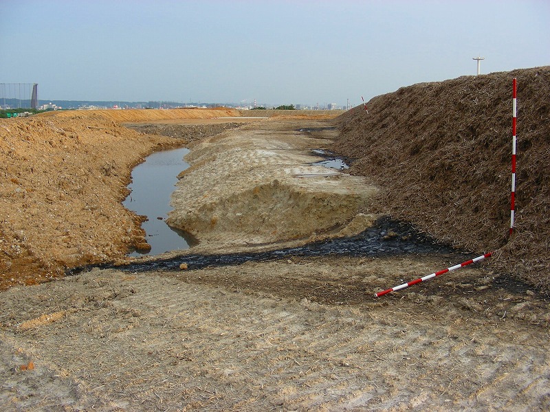 �ʐ^�N���b�N�Ŏ��̈ꖇ��