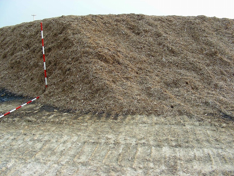 �ʐ^�N���b�N�Ŏ��̈ꖇ��