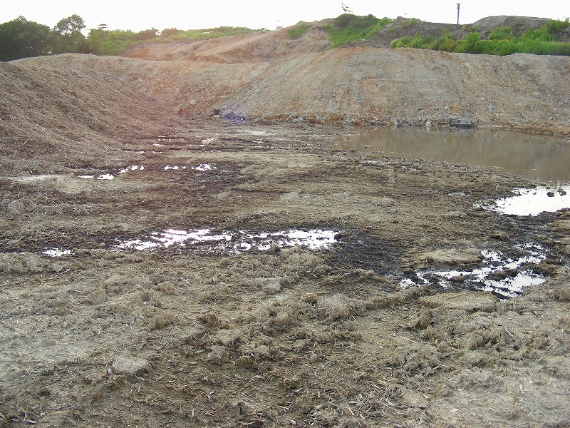 �ʐ^�N���b�N�Ŏ��̈ꖇ��