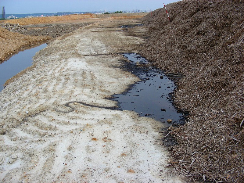 �ʐ^�N���b�N�Ŏ��̈ꖇ��