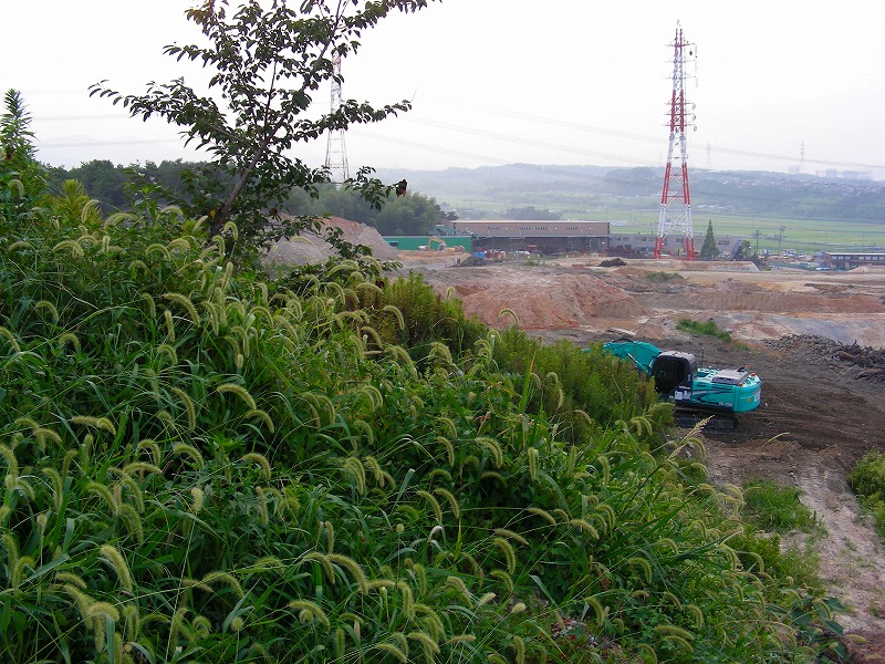 �ʐ^�N���b�N�Ŏ��̈ꖇ��