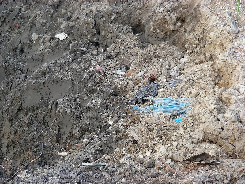 �ʐ^�N���b�N�Ŏ��̈ꖇ��