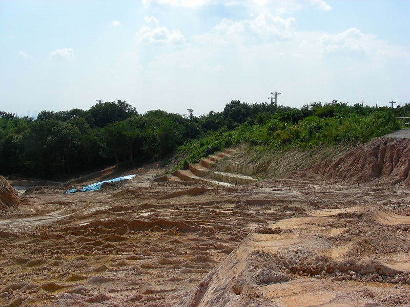 �ʐ^�N���b�N�Ŏ��̈ꖇ��