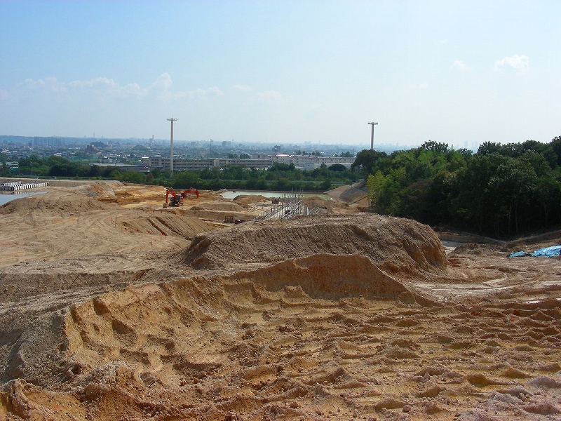 �ʐ^�N���b�N�Ŏ��̈ꖇ��