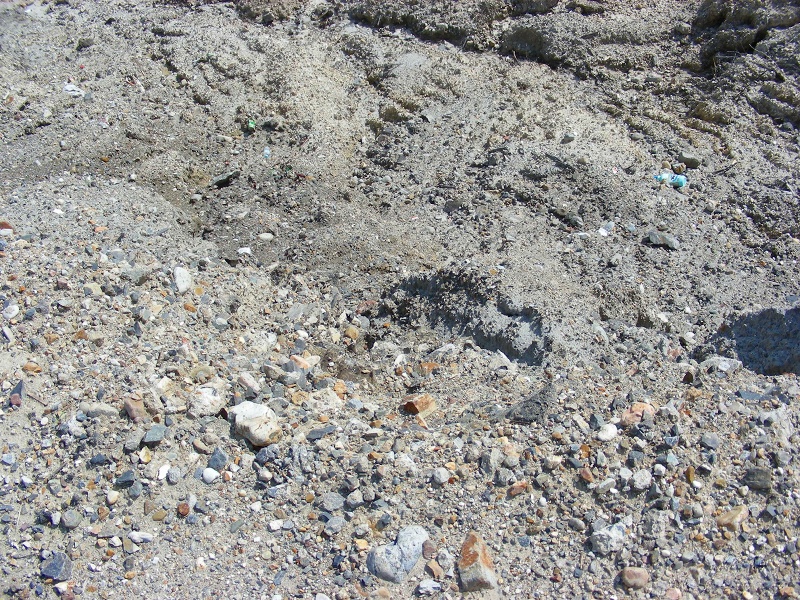 �ʐ^�N���b�N�Ŏ��̈ꖇ��