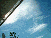 0130013_thumb.png